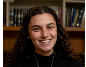 نوا بيركوفيتز